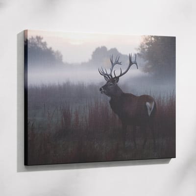 Saammp Muurcirkel Hout - Pampas - Natuur - Ø 90 - Wandcirkel - Wanddecoratie Cirkel - Muurdecoratie Woonkamer - Kantoor Decoratie