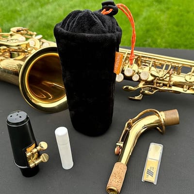Dailygoody - Draagbare opbergtas saxofoon - Universele bescherming - 20 x 12,5 x 6 cm - Lichtgewicht en handig - Geschikt voor alt en tenor - Perfect ..