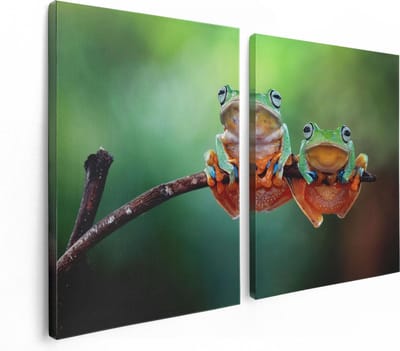 Artaza Canvas Schilderij Tweeluik Twee Boomkikkers op een Tak - 120x80 - Foto Op Canvas - Canvas Print
