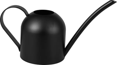 15 oz-450 ml Roestvrij Staal Indoor Gieter voor Huis en Bureau Planten - Bonsai (Zwart)