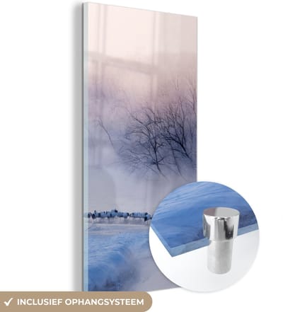 MuchoWow® Glasschilderij 60x120 cm - Schilderij acrylglas - Vogel - Mist - Rivier - Winter - IJs - Foto op glas - Schilderijen
