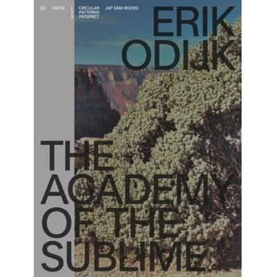 Erik Odijk. The Academy Of The Sublime - Ilja Leonard Pfeijffer