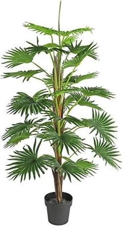 Non-branded Kunstplant Washingtonia 70 X 150 Cm Groen