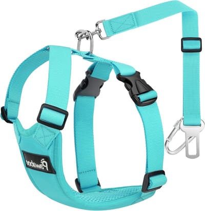 Verstelbare Hond Veiligheidsvest met Autogordel, Ademend en Comfortabel, Geschikt voor Grote Honden, Volledig Blauw