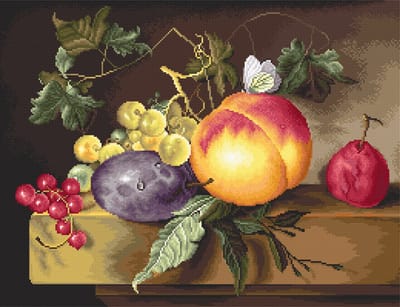Luca-S Still Life borduren (pakket)