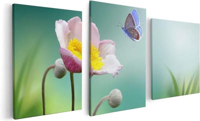 Artaza Canvas Schilderij Drieluik Roze Anemoon Bloem Met Een Blauwe Vlinder - 120x60 - Foto Op Canvas - Canvas Print