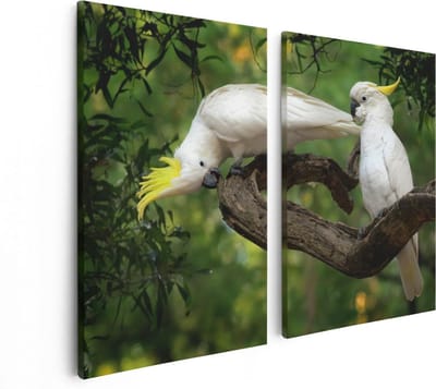 Artaza Canvas Schilderij Tweeluik Twee Witte Kaketoes in de Bomen - 80x60 - Foto Op Canvas - Canvas Print