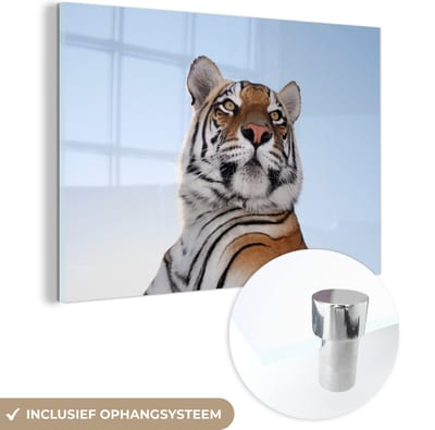 MuchoWow® Glasschilderij 60x40 cm - Schilderij acrylglas - Tijger - Hemel - Kop - Foto op glas - Schilderijen