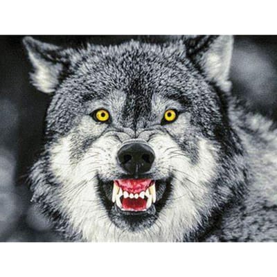 DIY Diamant Borduurwerk Dier Wolf Kruissteek Mozaïek Diamant Schilderij Huisdecoratie Cadeau 30X40CM