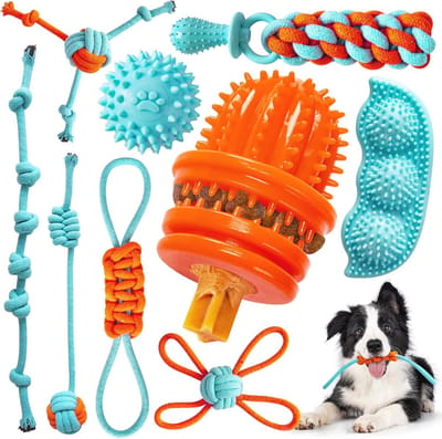 9 Stuks Puppyspeeltjes - Onverwoestbaar Interactief Kauwspeelgoed voor Puppy’s van 8 tot 38 Weken