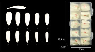 Without Lemon - Kunst Nagels 500 stuks - Acryl Nep nagels in transparant doos - 10 verschillende maten - 50 stuks voor elk maat
