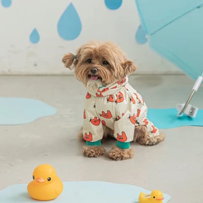 OLOEY Hondenpyjama's voor de lente en zomer- hondenkleertjes voor kleine en middelgrote honden- teefjes en reutjes- schattige zachte puppypyjama's- hondenonesies- kattenpyjama's (wit)