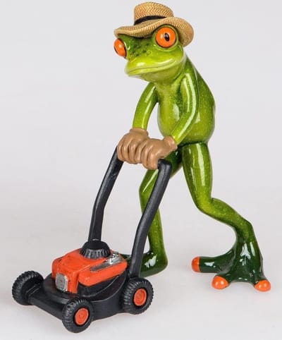 kikker met grasmaaier geschenk hovenier tuinman