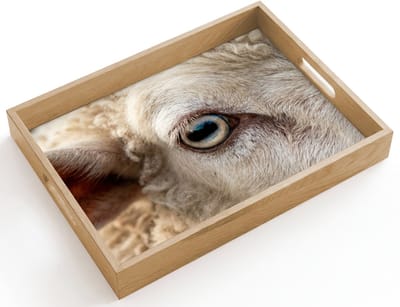 Dienblad hout 40x30 cm - Schootdienblad - Schaap - Oog - Wit - Borrelplank rechthoek - Plateau dienbladen