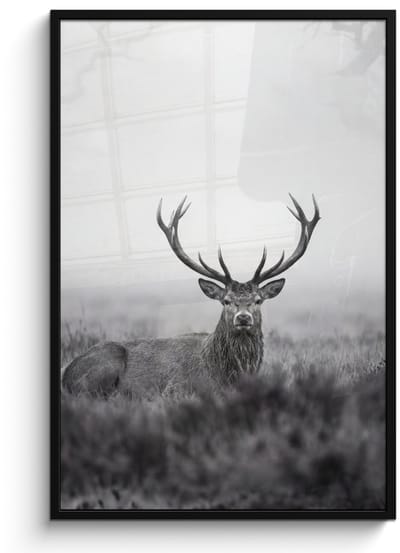 Poster in lijst - Fotolijst 80x120 cm - Posters - Hert - Mistig - Zwart - Wit - Posterlijst zwart - Decoratie - Wanddecoratie woonkamer - Muurdecoratie slaapkamer