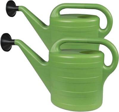 Gieter 10 Liter - Sproeier voor Binnen en Buiten - Groen - Eén maat