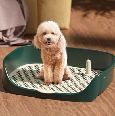 Draagbare Hondentoilet Potty – Anti-Spat Litterbox voor Honden en Kittens | Huisdieren WC met Trainingspan | Eenvoudig te Reinigen en Ideaal voor Puppy’s en Kittens