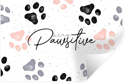 Muurstickers - Sticker Folie - Stay pawsitive - Honden - Quotes - Spreuken - 30x20 cm - Plakfolie - Muurstickers Kinderkamer - Zelfklevend Behang - Zelfklevend behangpapier - Stickerfolie