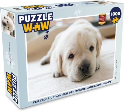 Puzzel Een close-up van een vermoeide Labrador puppy - Legpuzzel - Puzzel 1000 stukjes volwassenen