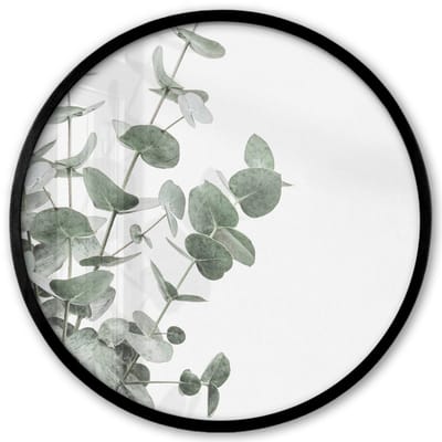 Poster in lijst Rond - Fotolijst 40x40 cm - Posters - Eucalyptus - Bladeren - Natuur - Groen - Ronde posterlijst zwart - Decoratie - Wanddecoratie woonkamer - Muurdecoratie slaapkamer