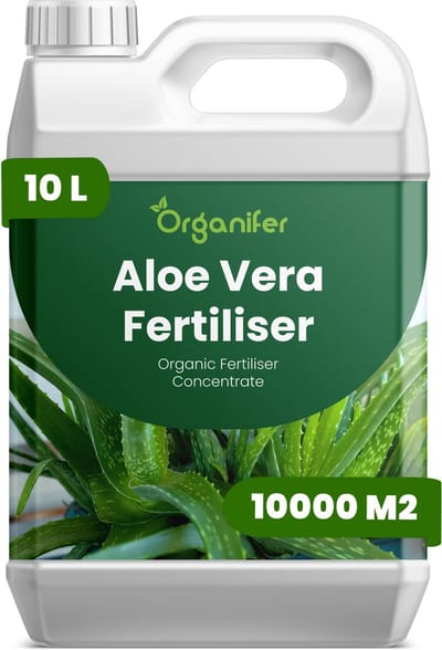 Vloeibare Meststof Voor Aloë Vera 10 L Voor 10000 M2 - Npk 2-1-8 - Voor Sterke Bladgroei - Bladstevigheid - Gelrijk Bladweefsel - Hittebestendig -Ddroogtebestendig - Waterregulatie - Wortelontwikkeling - Vetplanten - Organifer