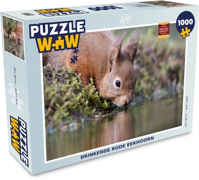 Puzzel Eekhoorn - Dier - Water - Legpuzzel - Puzzel 1000 stukjes volwassenen