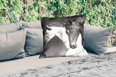 Sierkussen Buiten - Paarden - Dieren - Zwart - Wit - Portret - 60x60 cm - Weerbestendig