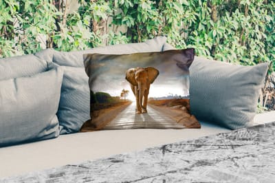 Buitenkussens - Tuin - Olifant - Weg - Dieren - Zonsondergang - Landschap - 50x30 cm