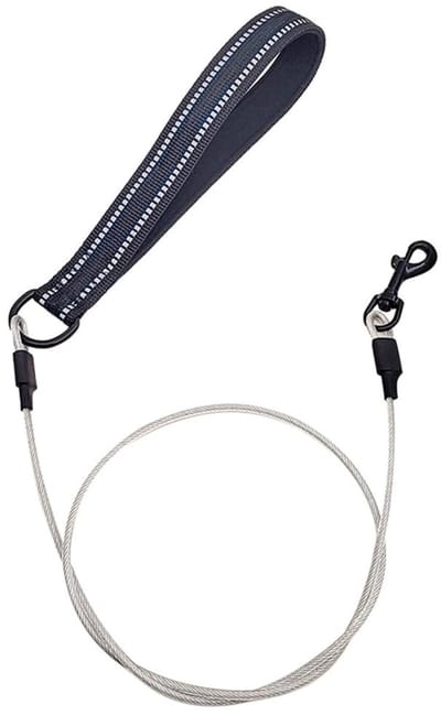 Dailygoods- Hondenriem Schokbestendig - Reflecterende Nylon - Gewatteerd Handvat - 120 cm - Geschikt voor Kleine/Middelgrote/Grote Honden - Trekkracht tot 70KG - Hondenlijn
