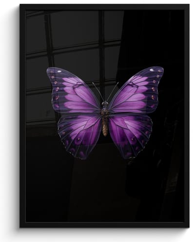 Poster in lijst - Fotolijst 50x70 cm - Posters - Vlinder - Paars - Levendig - Posterlijst zwart - Decoratie - Wanddecoratie woonkamer - Muurdecoratie slaapkamer