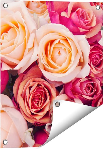 Gards Tuinposter Roze Rozen Achtergrond - Bloemen - 40x50 cm - Tuindoek - Tuindecoratie - Wanddecoratie buiten - Tuinschilderij