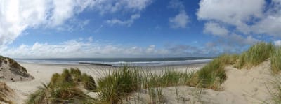 Fotobehang duinen en strand Ameland 350 x 260 cm - € 235,--