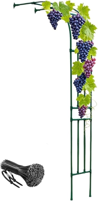 Rozenboog Met Rooster - Plantensteun Buiten - Tuindecoratie Klimplanten - Verstelbare Hoogte - 60 x 240 cm - Groen