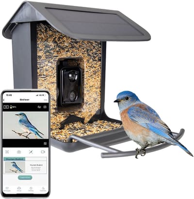 Vogelhuisje met Camera - Vogelvoederhuisje op Zonne-energie - Voederstation - HD Camera - AI Herkent 11.000 Vogels - 1,5L - Hofman Animal Care - Zwart