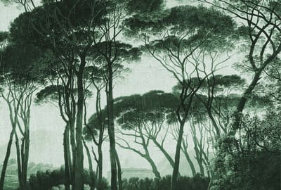 Fotobehang Treetops2 DD117880 A.S. Création Atelier 47 | Fotobehang
