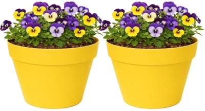 Mega Collections Plantenpot / bloempot - 2x - kunststof - geel - binnen/buiten - D26 x H22 cm