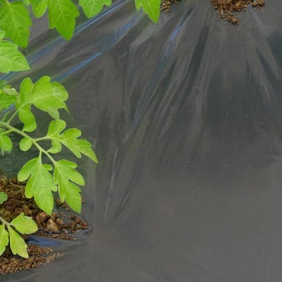 Microgeperforeerde Onkruidfolie Zwart 1,50 x 20m - Mulchfolie voor Groenten en Aardbeien