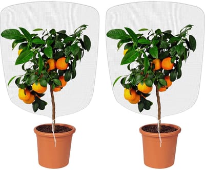 Unyqoos® Fijnmazig insectenwerend tuinnet voor optimale plantenbescherming en oogst