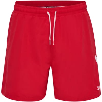 Badshorts Denemarken Fan 2024