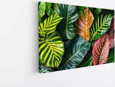 Saammp Canvas Schilderij - Kleurrijke bladeren - Natuur - Landschap - 45x30 - Foto op canvas - Wanddecoratie - Muurdecoratie Woonkamer - Slaapkamer decoratie - Canvas Print