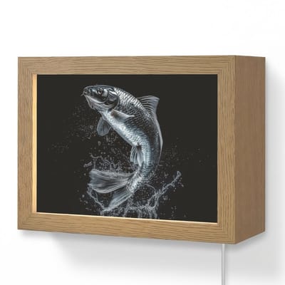 Wandlamp 20x15 cm - Oplaadbaar - Vis - Koi - Zwart - Water - Wandlampen binnen woonkamer - Slaapkamer lamp met kabel - Decoratieve nachtlamp - Vloerlamp snoer