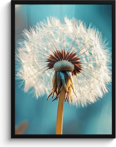 Poster in lijst - Fotolijst 60x80 cm - Posters - Paardenbloem - Natuur - Bloemen - Blauw - Posterlijst zwart - Decoratie - Wanddecoratie woonkamer - Muurdecoratie slaapkamer