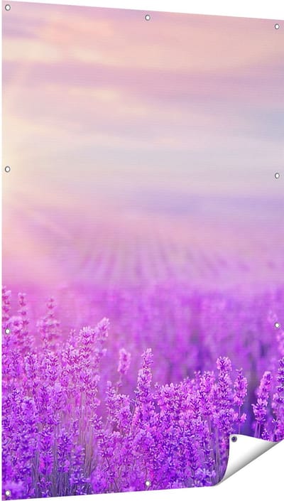 Gards Tuinposter Bloemenveld met Paarse Lavendel - 100x150 cm - Tuindoek - Tuindecoratie - Wanddecoratie buiten - Tuinschilderij