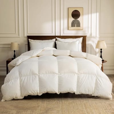 Dailygoods- Donzen Dekbed 135 x 200 cm - Hypoallergeen - Biologisch Katoen - Voor het Hele Jaar - Lichtgewicht - Comfortabel