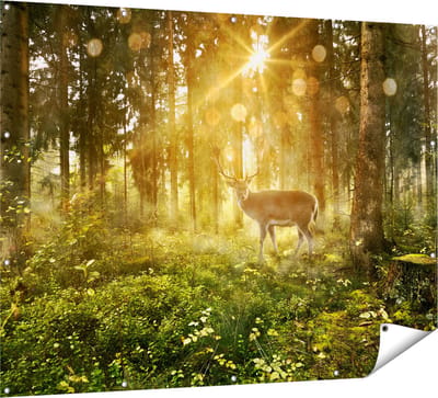 Gards Tuinposter Hert in Bos met Zon - 160x120 cm - Tuindoek - Tuindecoratie - Wanddecoratie buiten - Tuinschilderij