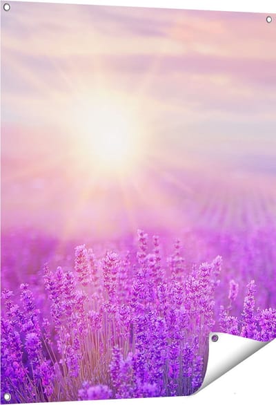 Gards Tuinposter Bloemenveld met Paarse Lavendel - 80x100 cm - Tuindoek - Tuindecoratie - Wanddecoratie buiten - Tuinschilderij