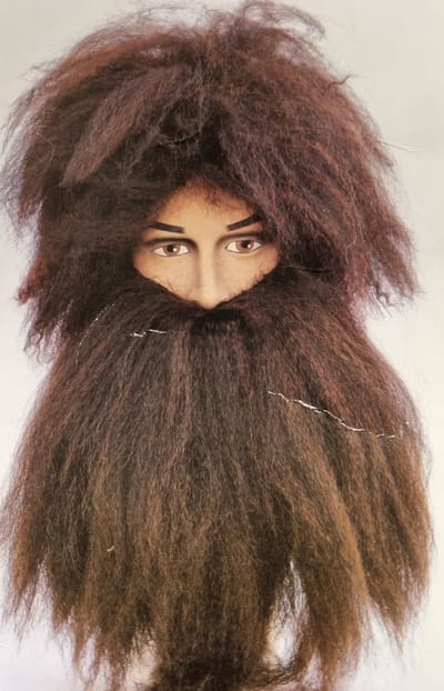 Pruik Holbewoner + baard bruin