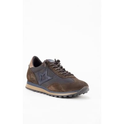 CETTI C1259 INV27 Bruin 40 EU