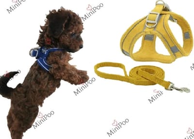 Hondenharnas | Puppy Tuigje | Geschikt voor teacup en toy breeds | Oker Geel | XXXS