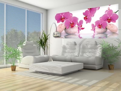 Flowers Orchids Photo Wallcovering